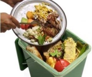 Compostare il cibo cotto.