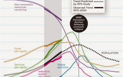 Business as Usual, business as mildew