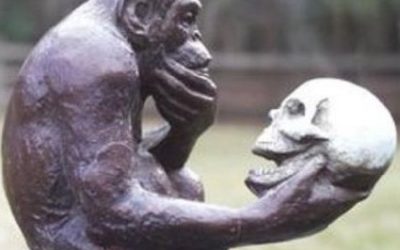 Che cosa ti occorre Homo