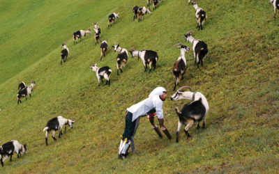 Goatman: un nuovo approccio con la natura?