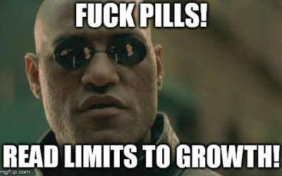 Limits To Growth: la lezione degli scenari ‘sbagliati’