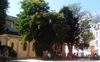 In lode della Robinia.