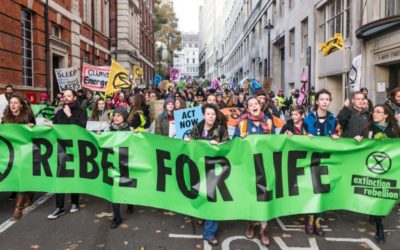 Extinction Rebellion sarebbe classista o peggio?