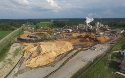 Il legname dei boschi è energia rinnovabile? -1-