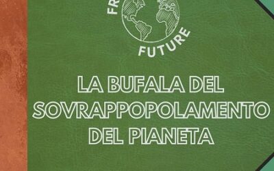 Dove Friday For Future sbaglia (e dove no)