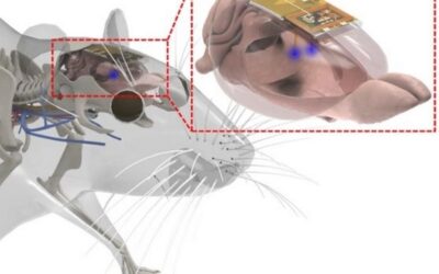 L’app nel cervello, lo voglio anch’io!