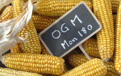 OGM, sostenibilità e mistificazione/3