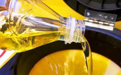 L’enorme quantità di olio da cucina importato dall’Ue per biofuel rischia di essere un boomerang ambientale