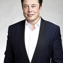 Elon Musk e la sparizione degli italiani