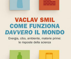 Il realismo irrealistico di Vaclav Smil