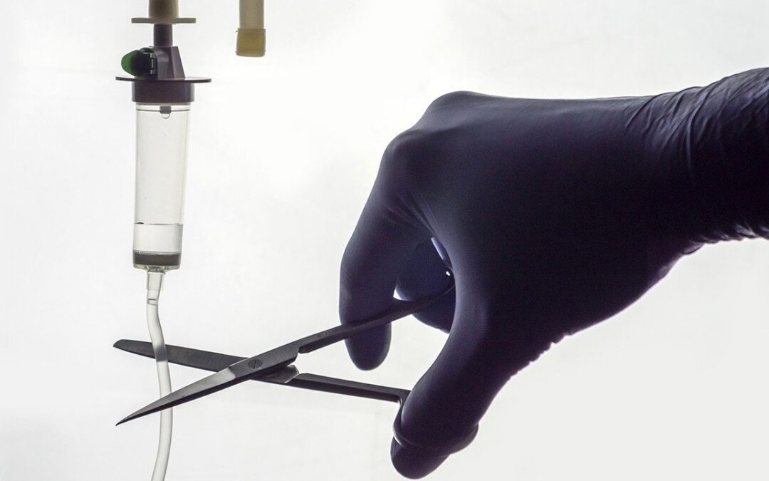 Eutanasia del Leviatano