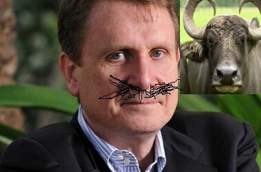 La vergogna dello Pseudo Caracciolo