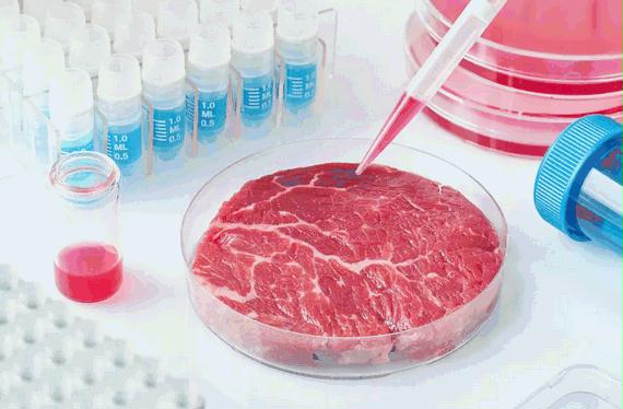 carne coltivata