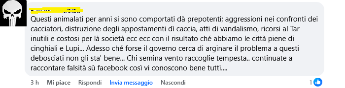 caccia