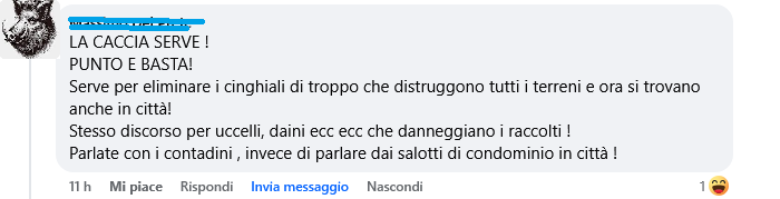 caccia
